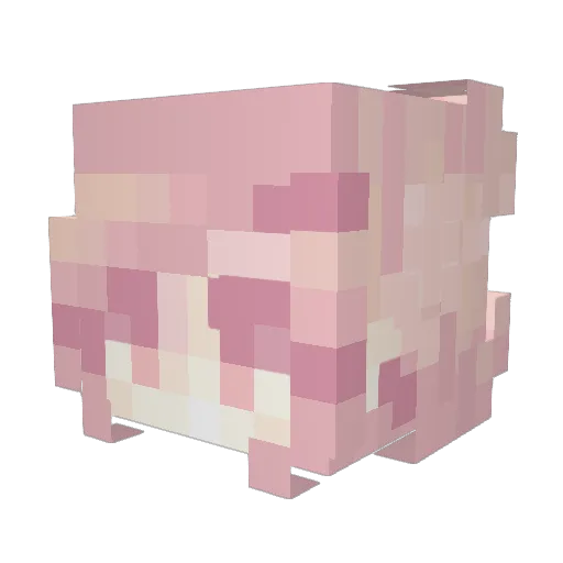 eggberr1es Minecraft avatar head, 3D render