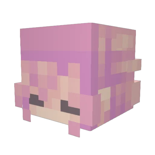 eggia Minecraft avatar head, 3D render