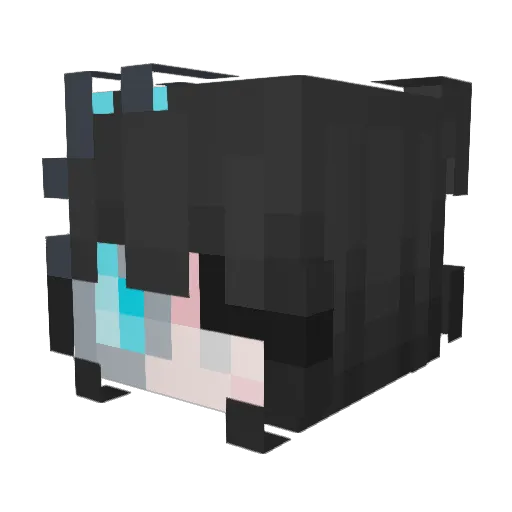 eggnog1112 Minecraft avatar head, 3D render