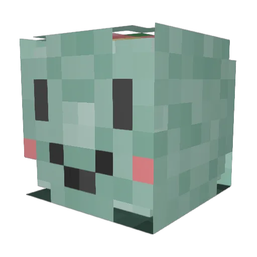 eggroll200 Minecraft avatar head, 3D render