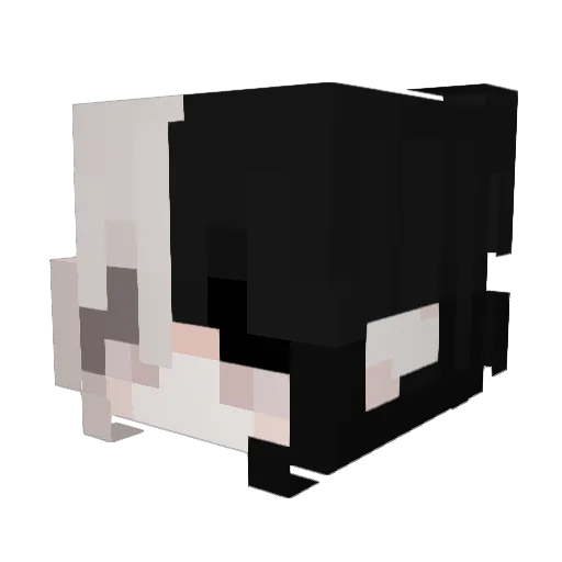eggsack777 Minecraft avatar head, 3D render