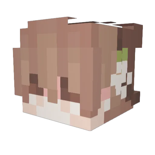 eggsacutor Minecraft avatar head, 3D render