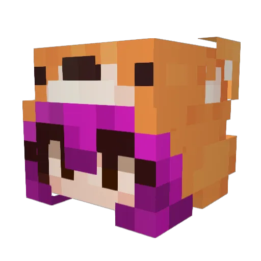 eggsgetlaid Minecraft avatar head, 3D render