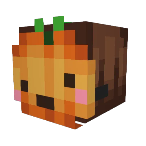 eggsters_ Minecraft avatar head, 3D render