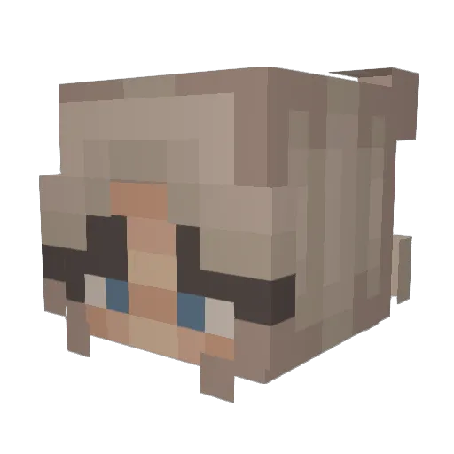 eggy561 Minecraft avatar head, 3D render