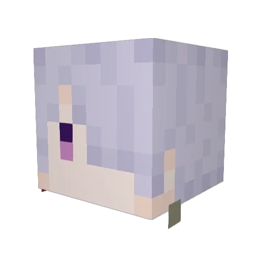 eghveryoke311 Minecraft avatar head, 3D render
