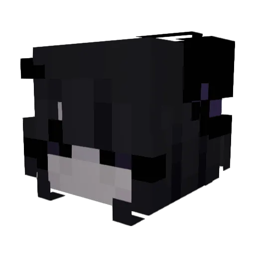 egirl_eliciu Minecraft avatar head, 3D render