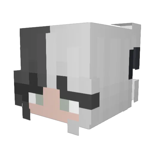 egirlernun Minecraft avatar head, 3D render