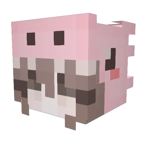 egirlsahra Minecraft avatar head, 3D render