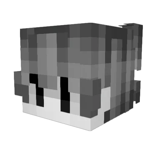 egosouth Minecraft avatar head, 3D render