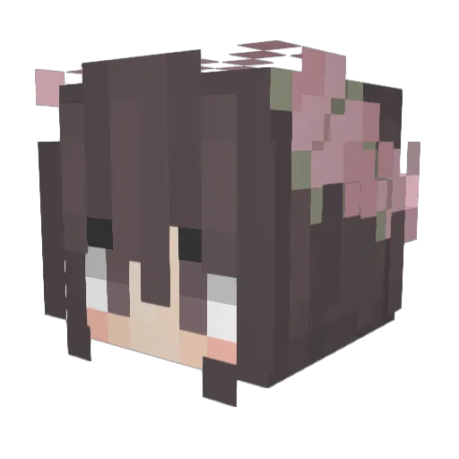 egrise Minecraft avatar head, 3D render