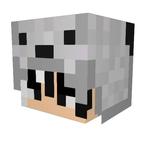 ehN0te Minecraft avatar head, 3D render