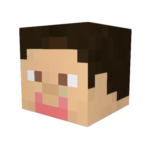 ehallford Minecraft avatar head, 3D render