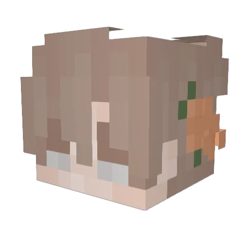 ehd0771 Minecraft avatar head, 3D render