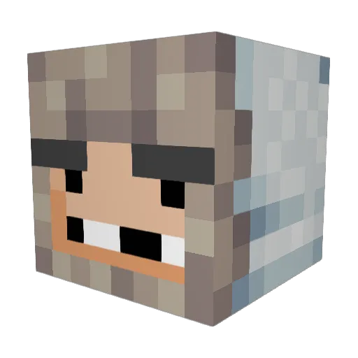 ehelrl Minecraft avatar head, 3D render