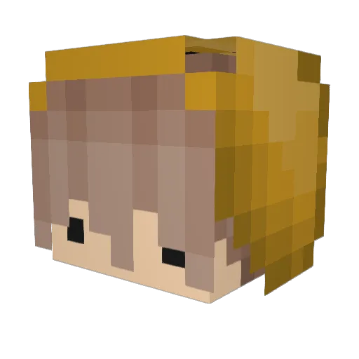 ehemaligerDuftii Minecraft avatar head, 3D render