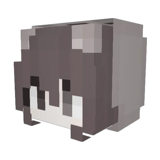 ehhle Minecraft avatar head, 3D render