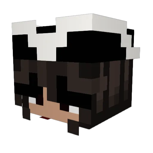 ehluh13 Minecraft avatar head, 3D render