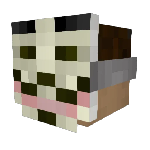 eia333 Minecraft avatar head, 3D render