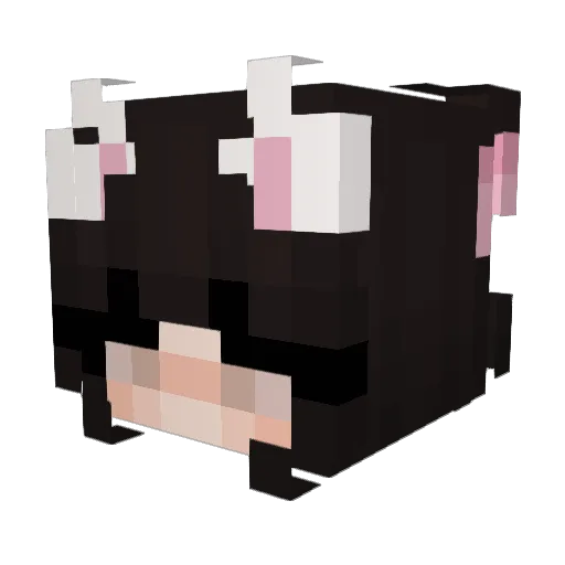 eiamhh Minecraft avatar head, 3D render