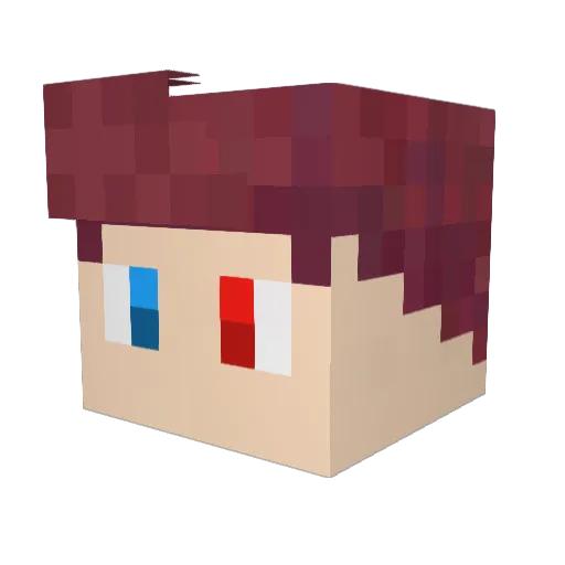 eicu Minecraft avatar head, 3D render