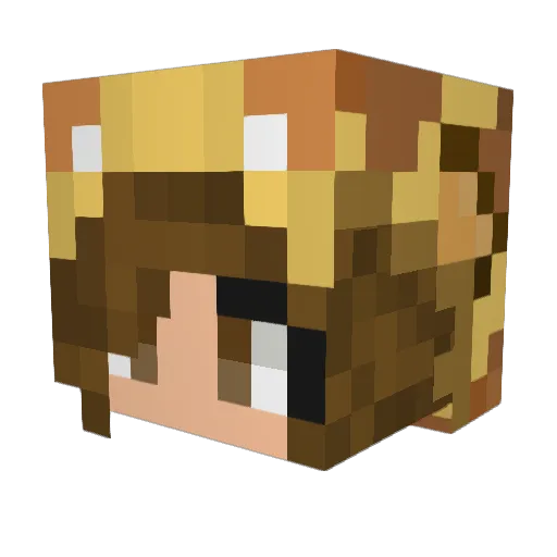 eidabird Minecraft avatar head, 3D render