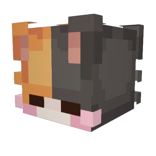 eiduekp Minecraft avatar head, 3D render