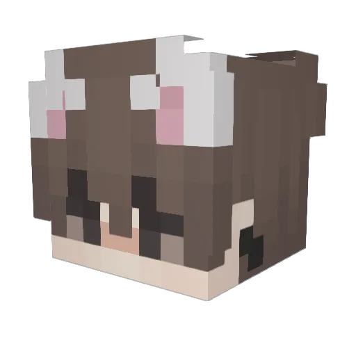 eiffounst Minecraft avatar head, 3D render