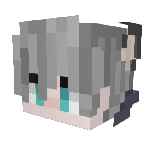 eifoonrobin_ Minecraft avatar head, 3D render