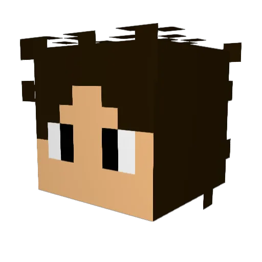 eigau Minecraft avatar head, 3D render