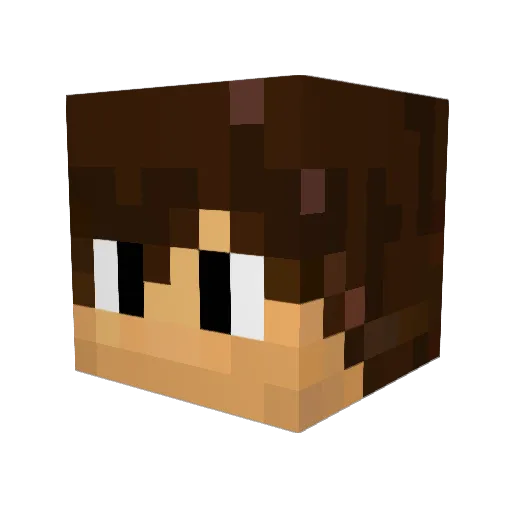 eikidoragon Minecraft avatar head, 3D render