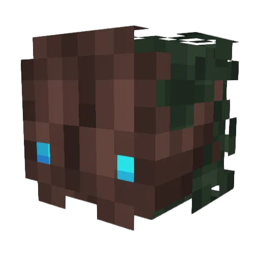 eilon555 Minecraft avatar head, 3D render