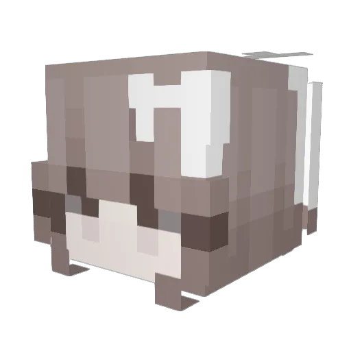 eilove Minecraft avatar head, 3D render