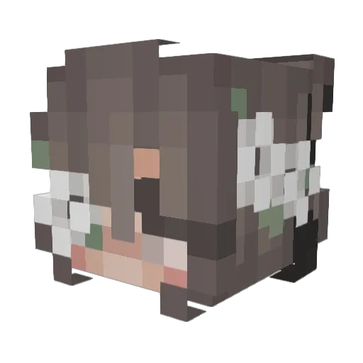 eilrxhc Minecraft avatar head, 3D render