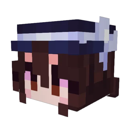 ein09 Minecraft avatar head, 3D render