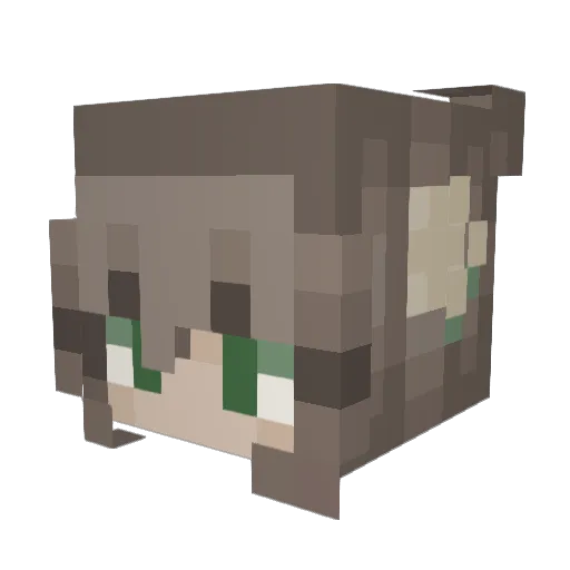 einADHS Minecraft avatar head, 3D render