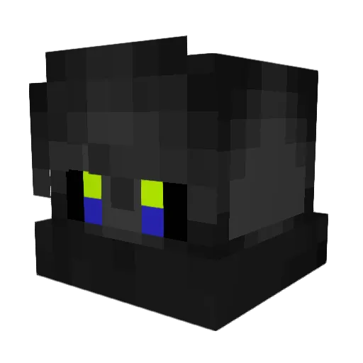 einBlxckout Minecraft avatar head, 3D render