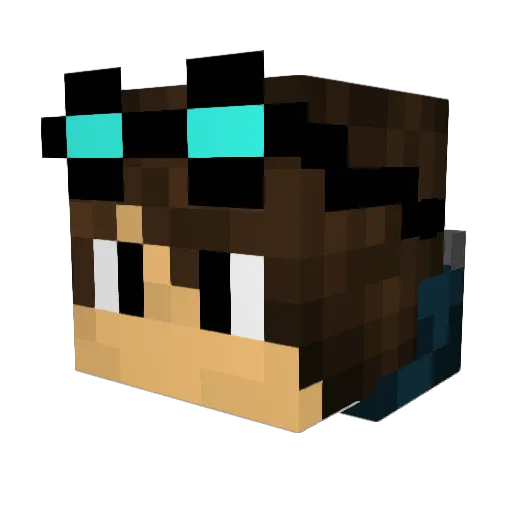 einFlix Minecraft avatar head, 3D render