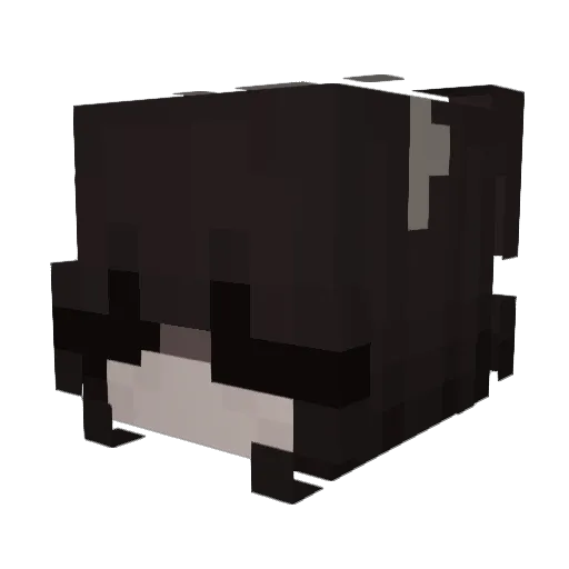 einaa Minecraft avatar head, 3D render