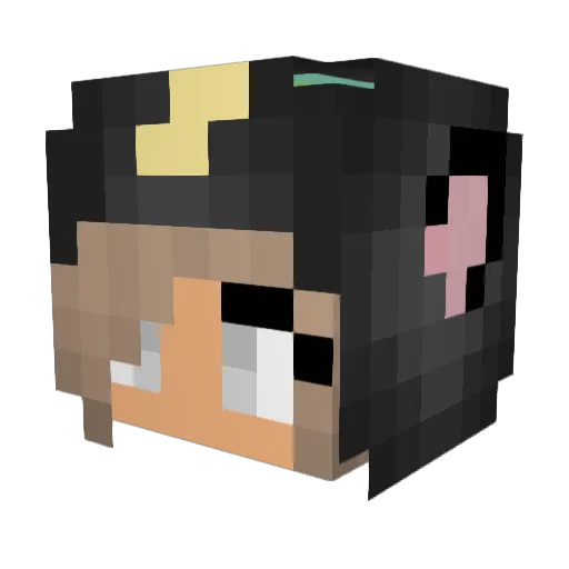 einalles23 Minecraft avatar head, 3D render