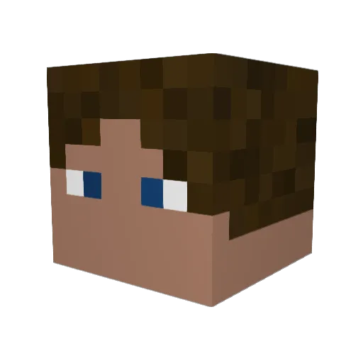 einberg_ Minecraft avatar head, 3D render