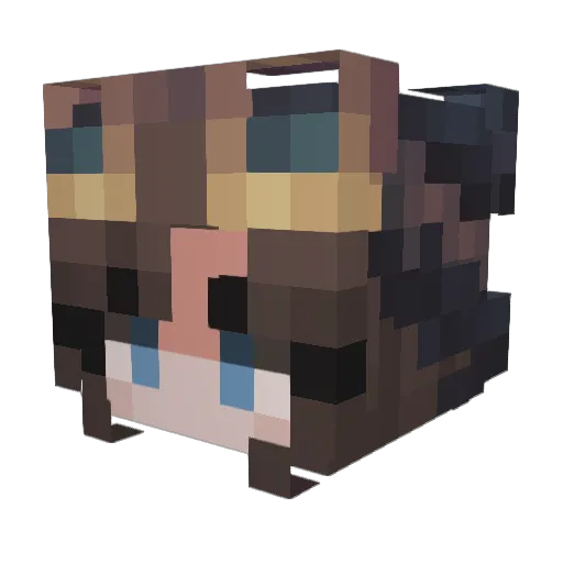 einc00kie Minecraft avatar head, 3D render