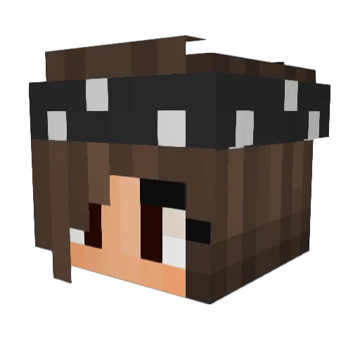 einfachemy Minecraft avatar head, 3D render