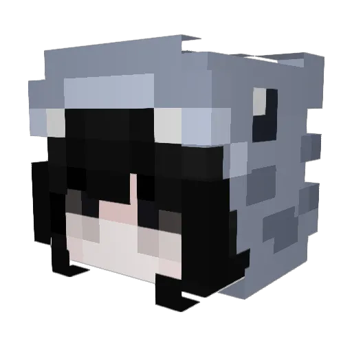 einfachluxa Minecraft avatar head, 3D render