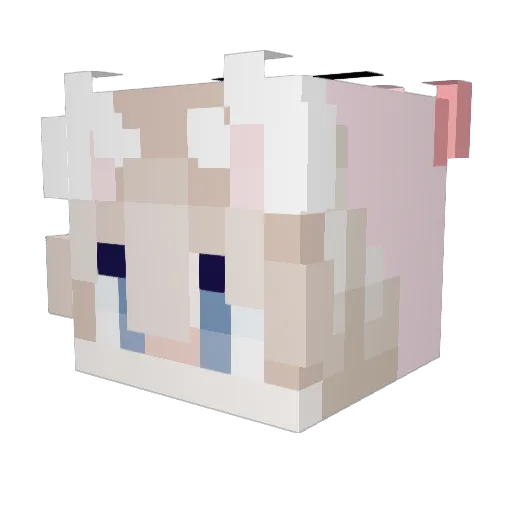 einfachmeows Minecraft avatar head, 3D render