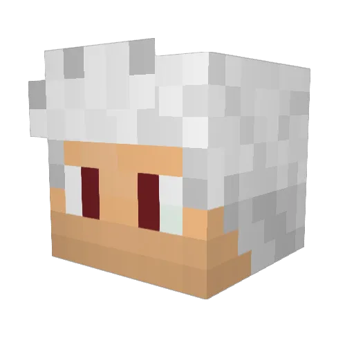 einfachsj Minecraft avatar head, 3D render