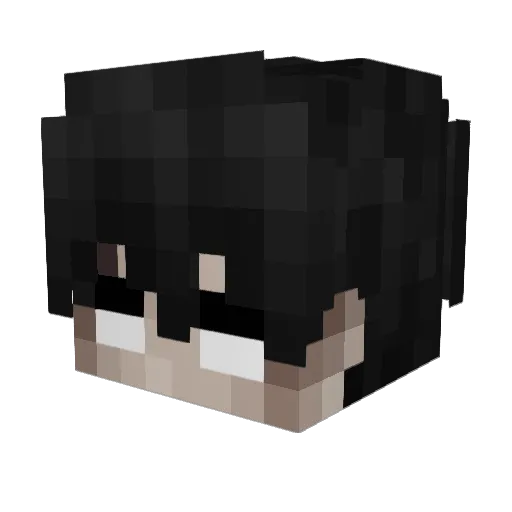 einfxchTobi Minecraft avatar head, 3D render