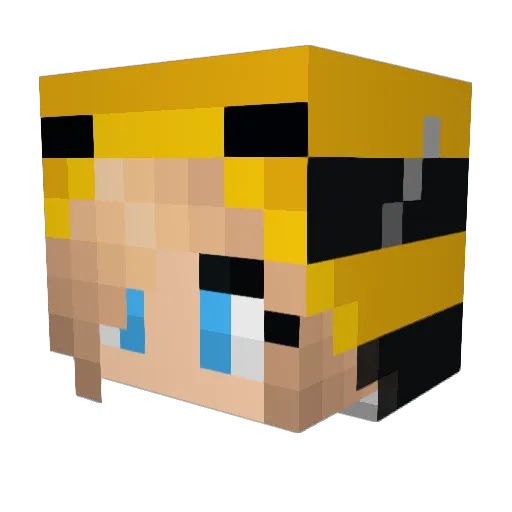 einhorn1004 Minecraft avatar head, 3D render