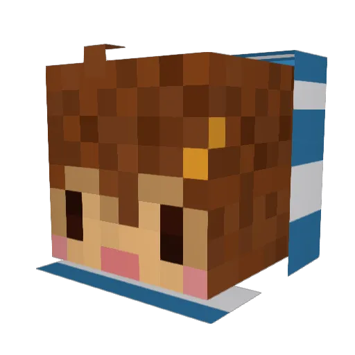 einies Minecraft avatar head, 3D render