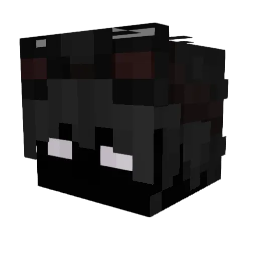 einnh Minecraft avatar head, 3D render